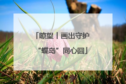 瞭望丨画出守护“蝶岛”同心圆