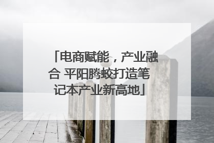 电商赋能，产业融合 平阳腾蛟打造笔记本产业新高地