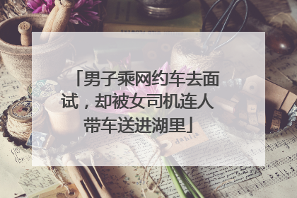 男子乘网约车去面试，却被女司机连人带车送进湖里