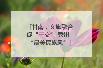 甘南：文旅融合促“三交” 秀出“最美民族风”