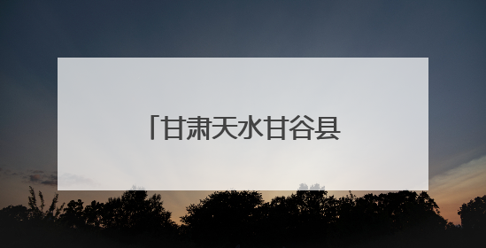 甘肃天水甘谷县：科技赋能辣椒全产业链发展