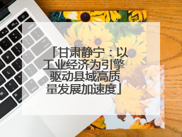 甘肃静宁：以工业经济为引擎 驱动县域高质量发展加速度