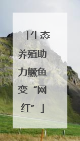 生态养殖助力鳜鱼变“网红”