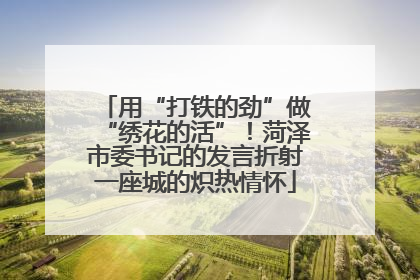 用“打铁的劲”做“绣花的活”！菏泽市委书记的发言折射一座城的炽热情怀