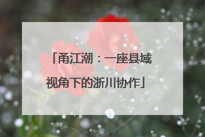 甬江潮：一座县域视角下的浙川协作