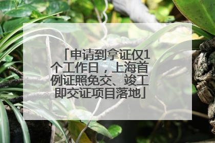 申请到拿证仅1个工作日，上海首例证照免交、竣工即交证项目落地