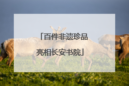 百件非遗珍品亮相长安书院