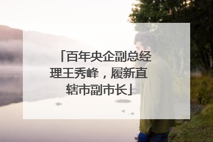 百年央企副总经理王秀峰，履新直辖市副市长