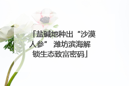 盐碱地种出“沙漠人参” 潍坊滨海解锁生态致富密码