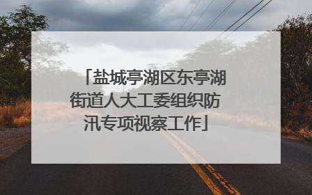 盐城亭湖区东亭湖街道人大工委组织防汛专项视察工作