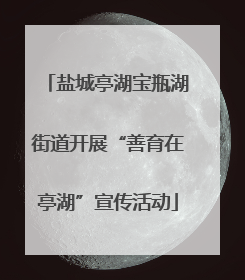 盐城亭湖宝瓶湖街道开展“善育在亭湖”宣传活动