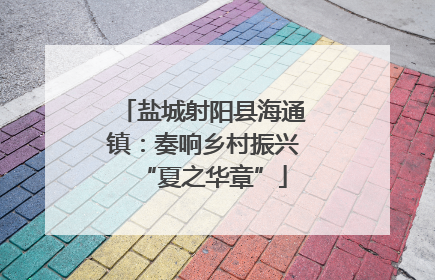 盐城射阳县海通镇：奏响乡村振兴“夏之华章”