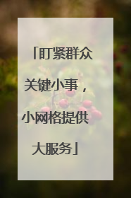 盯紧群众关键小事，小网格提供大服务