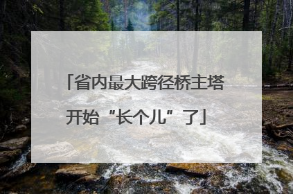 省内最大跨径桥主塔开始“长个儿”了