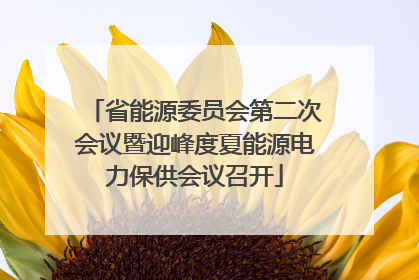 省能源委员会第二次会议暨迎峰度夏能源电力保供会议召开