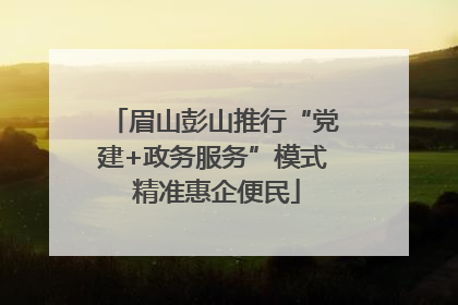 眉山彭山推行“党建+政务服务”模式 精准惠企便民