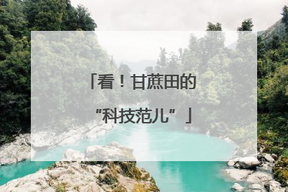 看！甘蔗田的“科技范儿”