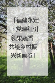 福建永定：党建红引领果蔬香 共绘乡村振兴新画卷