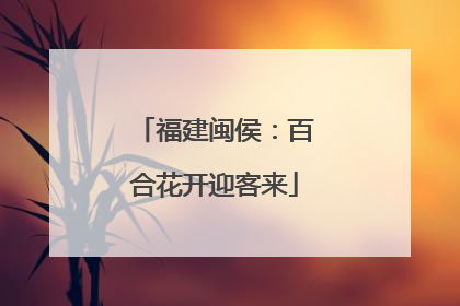 福建闽侯：百合花开迎客来