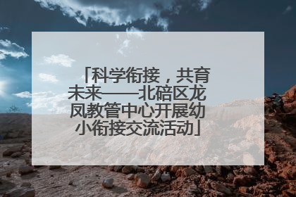 科学衔接，共育未来——北碚区龙凤教管中心开展幼小衔接交流活动