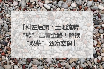 科左后旗：土地流转 “转” 出黄金路！解锁 “双薪” 致富密码