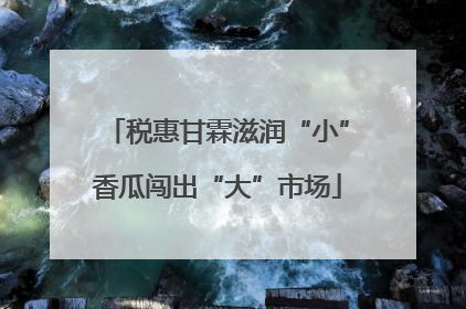 税惠甘霖滋润“小”香瓜闯出“大”市场