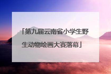 第九届云南省小学生野生动物绘画大赛落幕