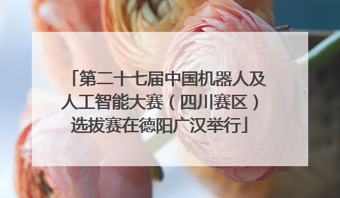 第二十七届中国机器人及人工智能大赛（四川赛区）选拔赛在德阳广汉举行