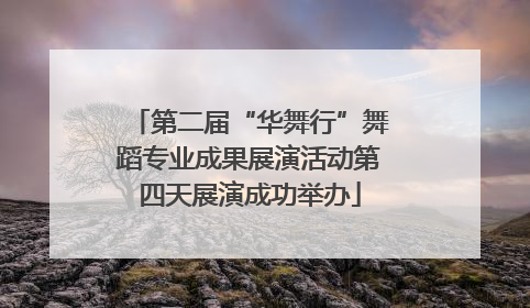 第二届“华舞行”舞蹈专业成果展演活动第四天展演成功举办
