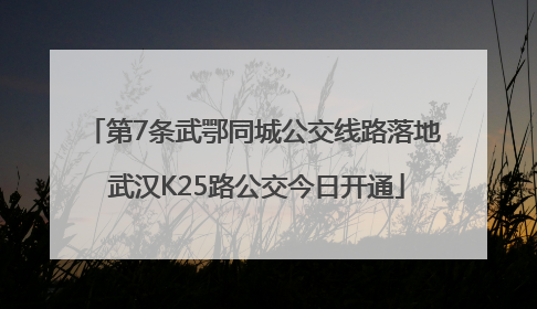 第7条武鄂同城公交线路落地 武汉K25路公交今日开通