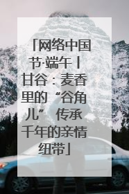 网络中国节·端午丨甘谷：麦香里的“谷角儿” 传承千年的亲情纽带