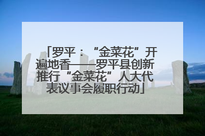 罗平：“金菜花”开遍地香——罗平县创新推行“金菜花”人大代表议事会履职行动