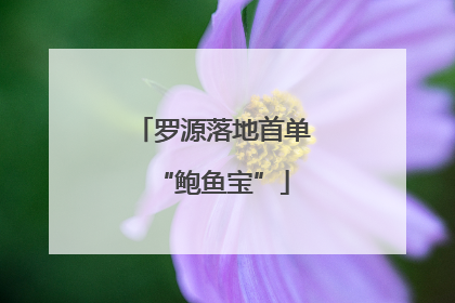 罗源落地首单“鲍鱼宝”