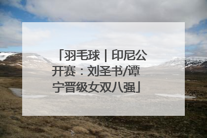 羽毛球｜印尼公开赛：刘圣书/谭宁晋级女双八强