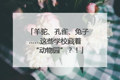 羊驼、孔雀、兔子……这些学校藏着 “动物园”？！