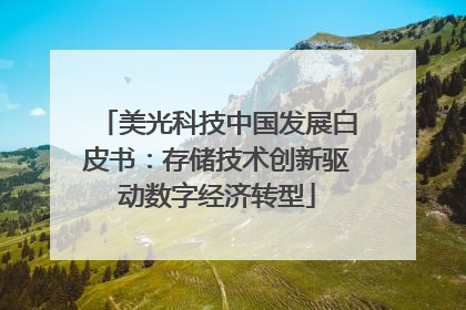 美光科技中国发展白皮书：存储技术创新驱动数字经济转型