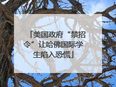 美国政府“禁招令”让哈佛国际学生陷入恐慌