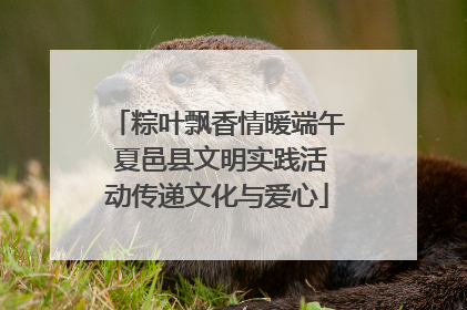 粽叶飘香情暖端午 夏邑县文明实践活动传递文化与爱心