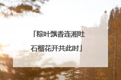 粽叶飘香连湘吐 石榴花开共此时