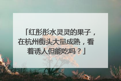 红彤彤水灵灵的果子，在杭州街头大量成熟，看着诱人但能吃吗？