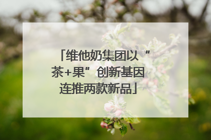 维他奶集团以“茶+果”创新基因连推两款新品
