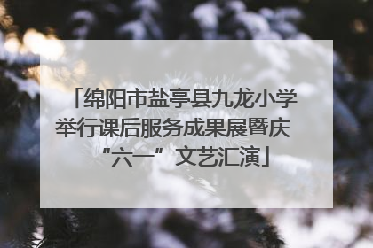 绵阳市盐亭县九龙小学举行课后服务成果展暨庆“六一”文艺汇演