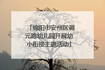 绵阳市安州区调元路幼儿园开展幼小衔接主题活动