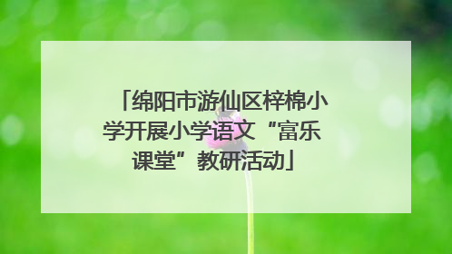 绵阳市游仙区梓棉小学开展小学语文“富乐课堂”教研活动