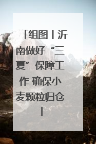 组图丨沂南做好“三夏”保障工作 确保小麦颗粒归仓