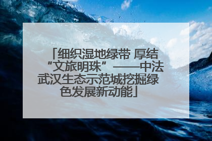 细织湿地绿带 厚结“文旅明珠”——中法武汉生态示范城挖掘绿色发展新动能
