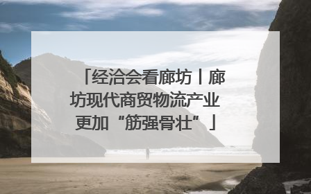 经洽会看廊坊丨廊坊现代商贸物流产业更加“筋强骨壮”