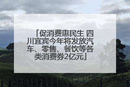 促消费惠民生 四川宜宾今年将发放汽车、零售、餐饮等各类消费券2亿元