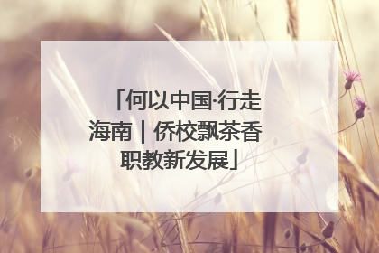 何以中国·行走海南｜侨校飘茶香 职教新发展