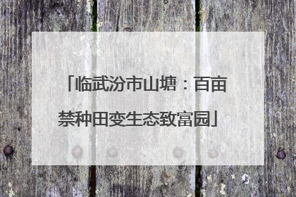 临武汾市山塘：百亩禁种田变生态致富园